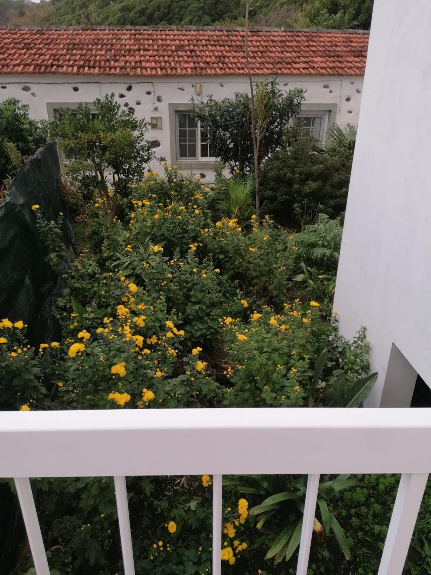 Casa Da Queijaria Villa Faja Grande Dış mekan fotoğraf
